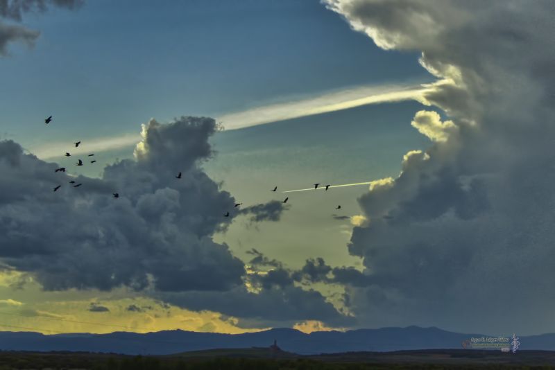 Pajaros sobre la Ermita de la Virgen del Castro.jpg